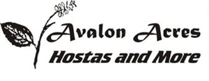 Avalon Acres