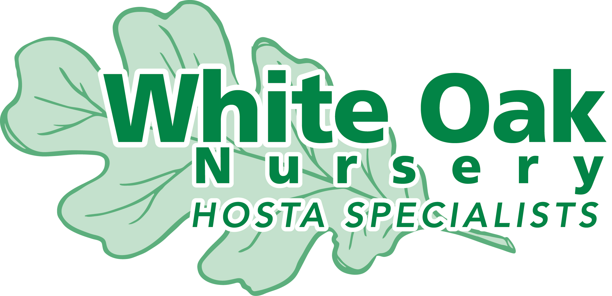 White Oak Nursery'